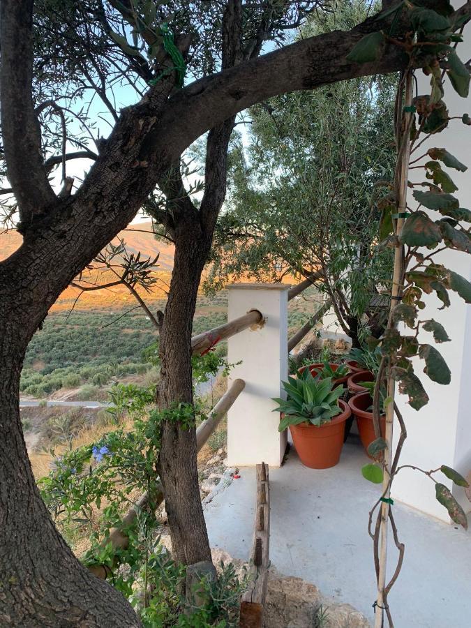 Hostal Cortijo Samadhi Lanjarón Exterior foto